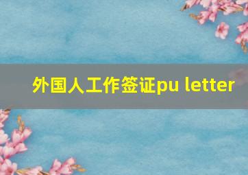 外国人工作签证pu letter